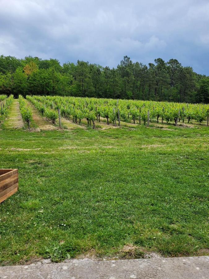 A L'Ombre De La Treille -Proche Saint-Emilion Bed & Breakfast Екстериор снимка