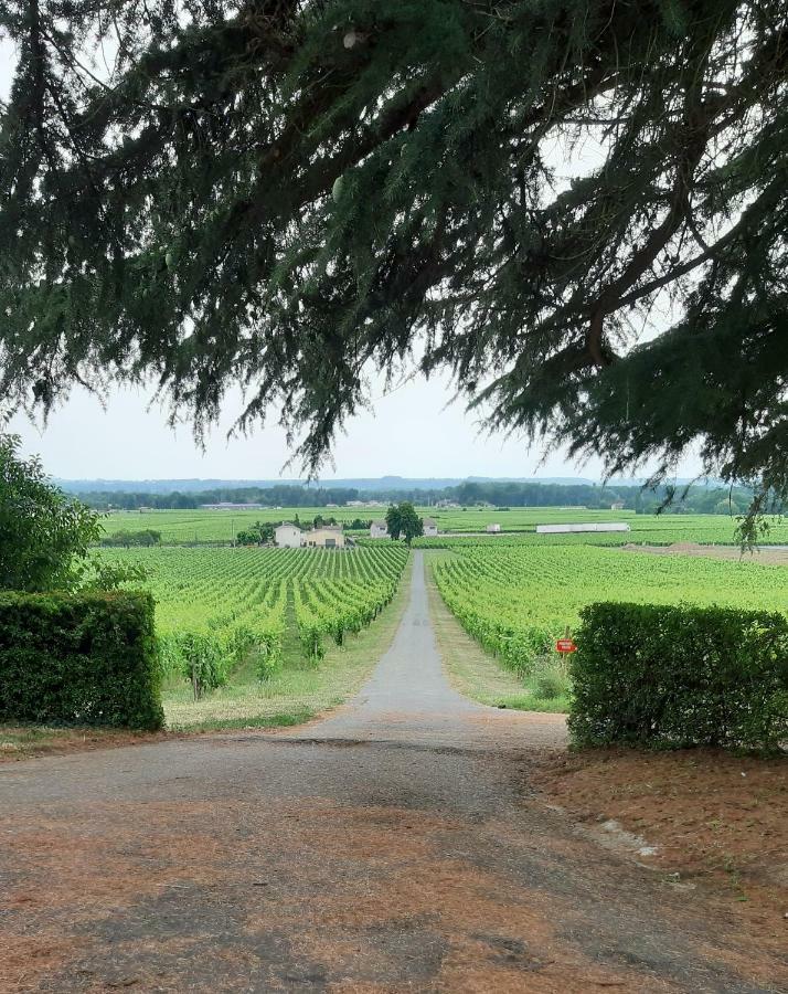 A L'Ombre De La Treille -Proche Saint-Emilion Bed & Breakfast Екстериор снимка